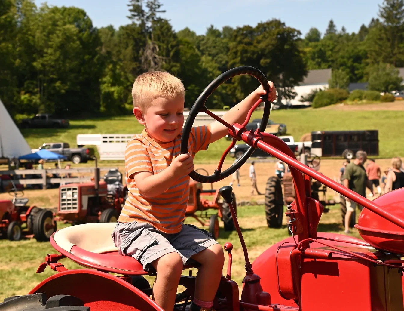 Hardwick Community Fair [08/18/23]