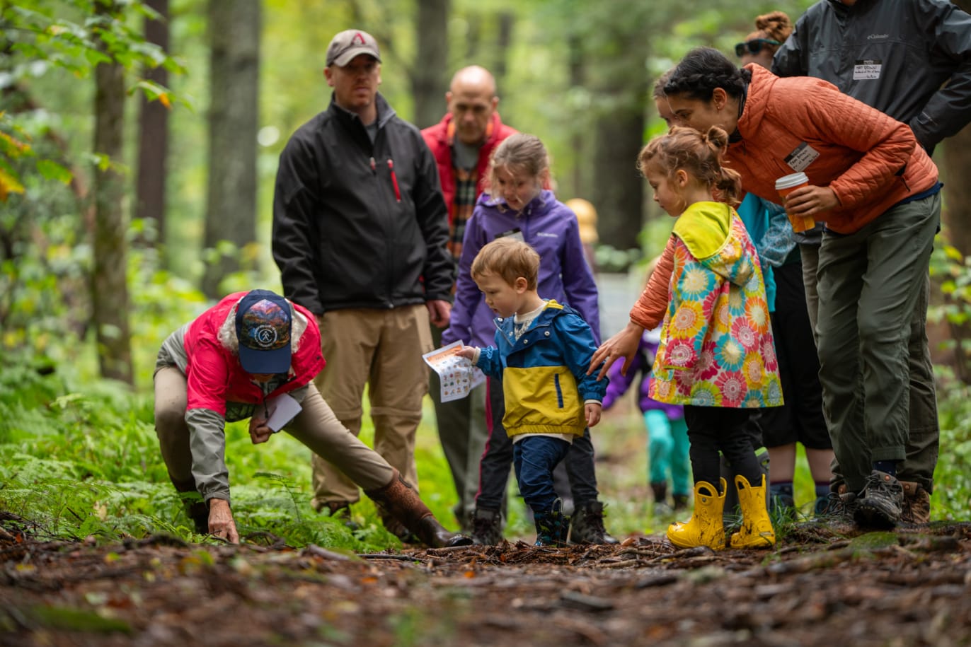 How to Protect Nature with Leave No Trace: Family Hike at Boston Nature ...