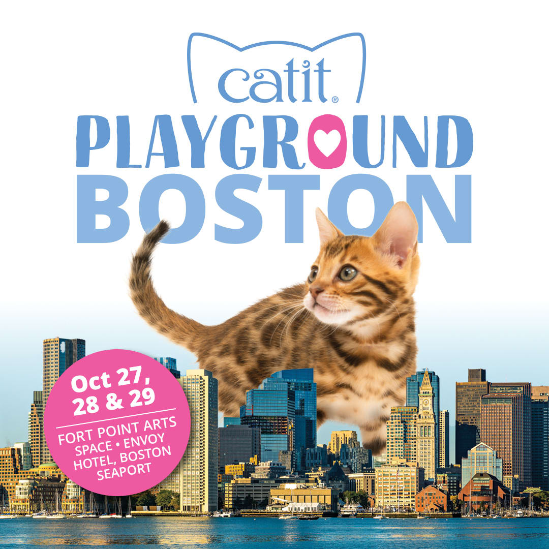 2023年波士顿Catit游乐场，进来吸睛！