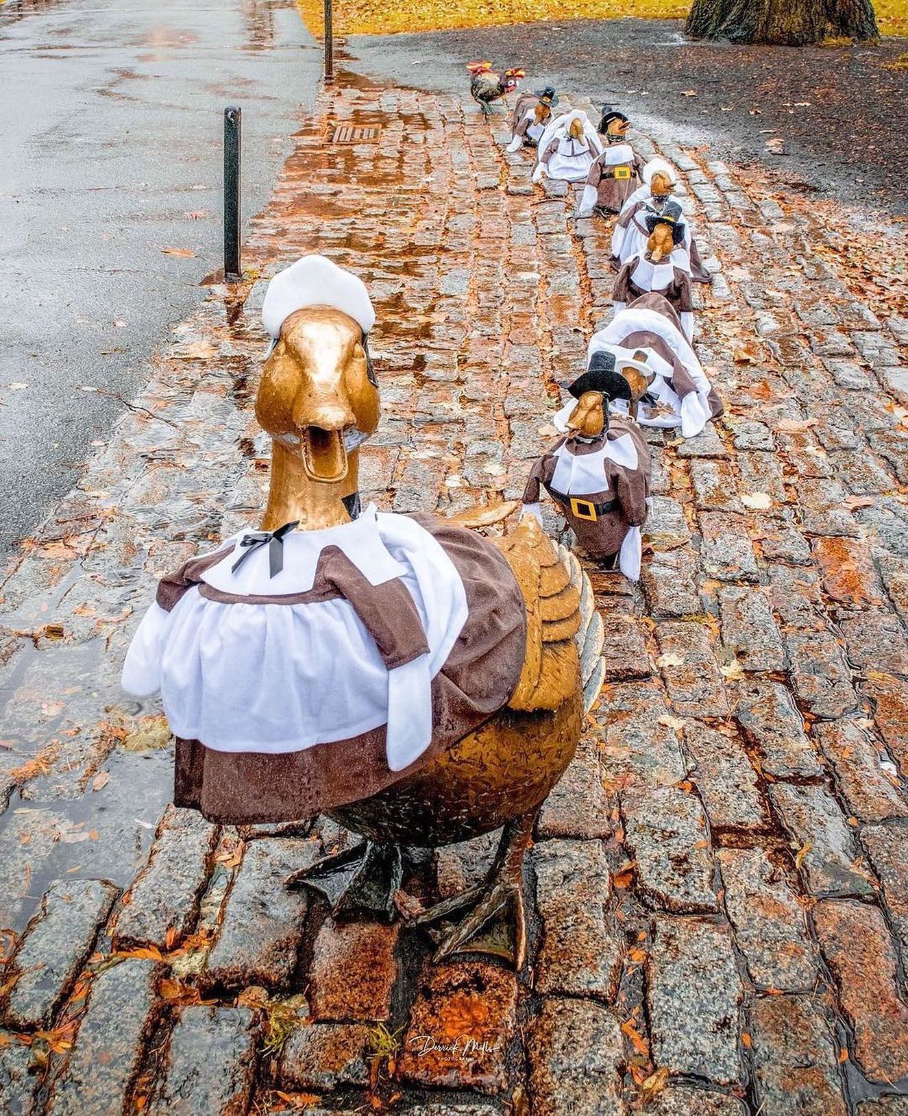 25+ Festive Ways to Celebrate Thanksgiving Season in Boston [11/03/23]