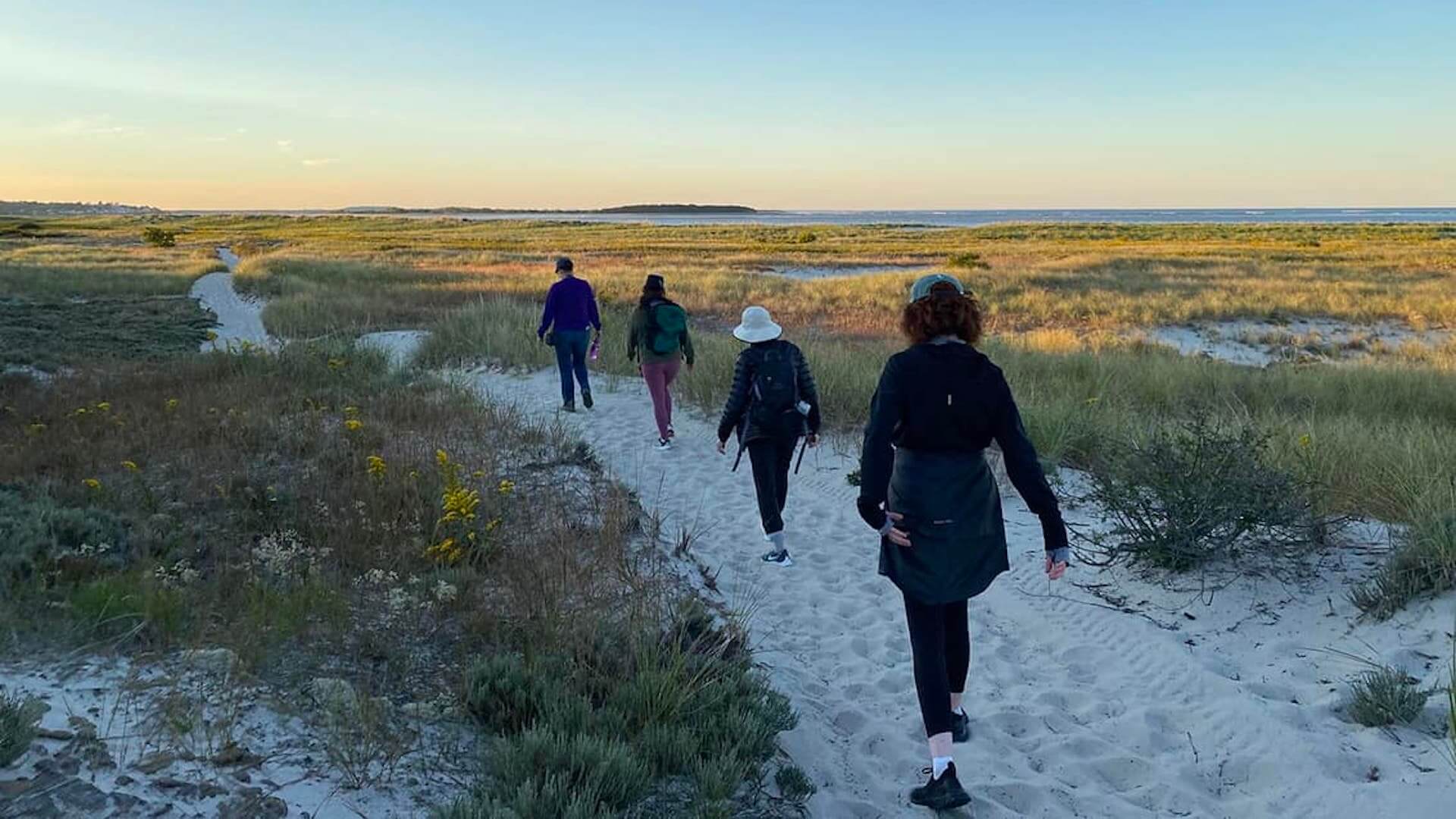 Springtime Stroll: Guided Wildlife Nature Walk at Castle Neck Beach ...