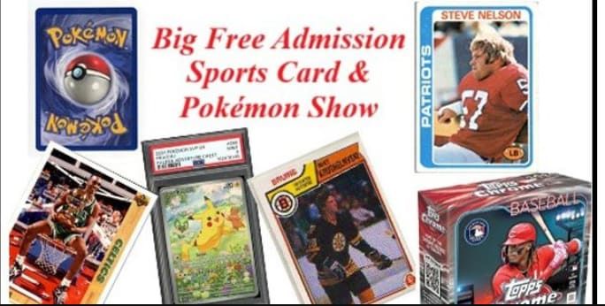 card games pokemon Pokemon-Pikachu and Zekrom-GX Premium Collection – Dx Games & More main image 0