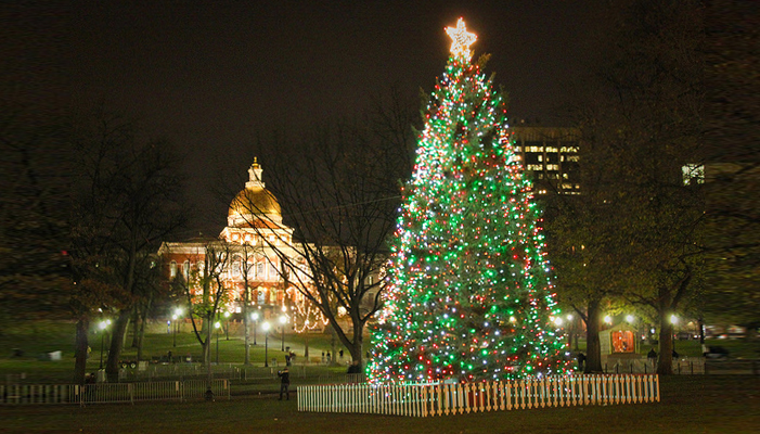 Christmas Tree Lighting In Boston 2022 Boston Common Tree Lighting Ceremony 2022 [12/08/22]