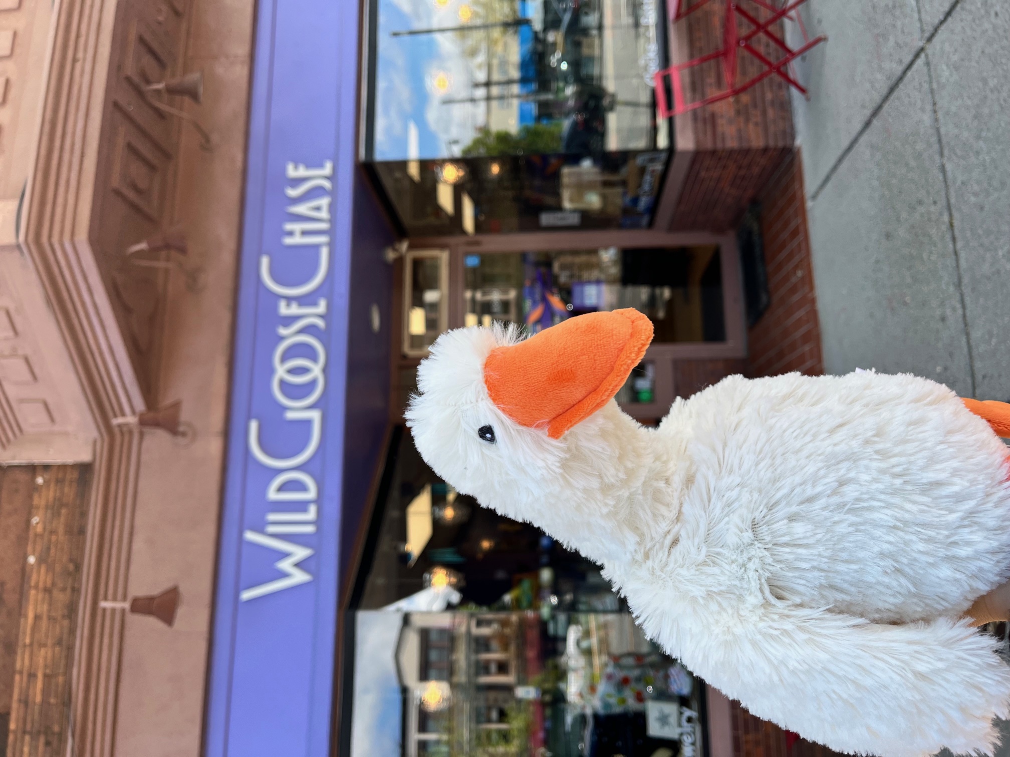 wildgoosechase