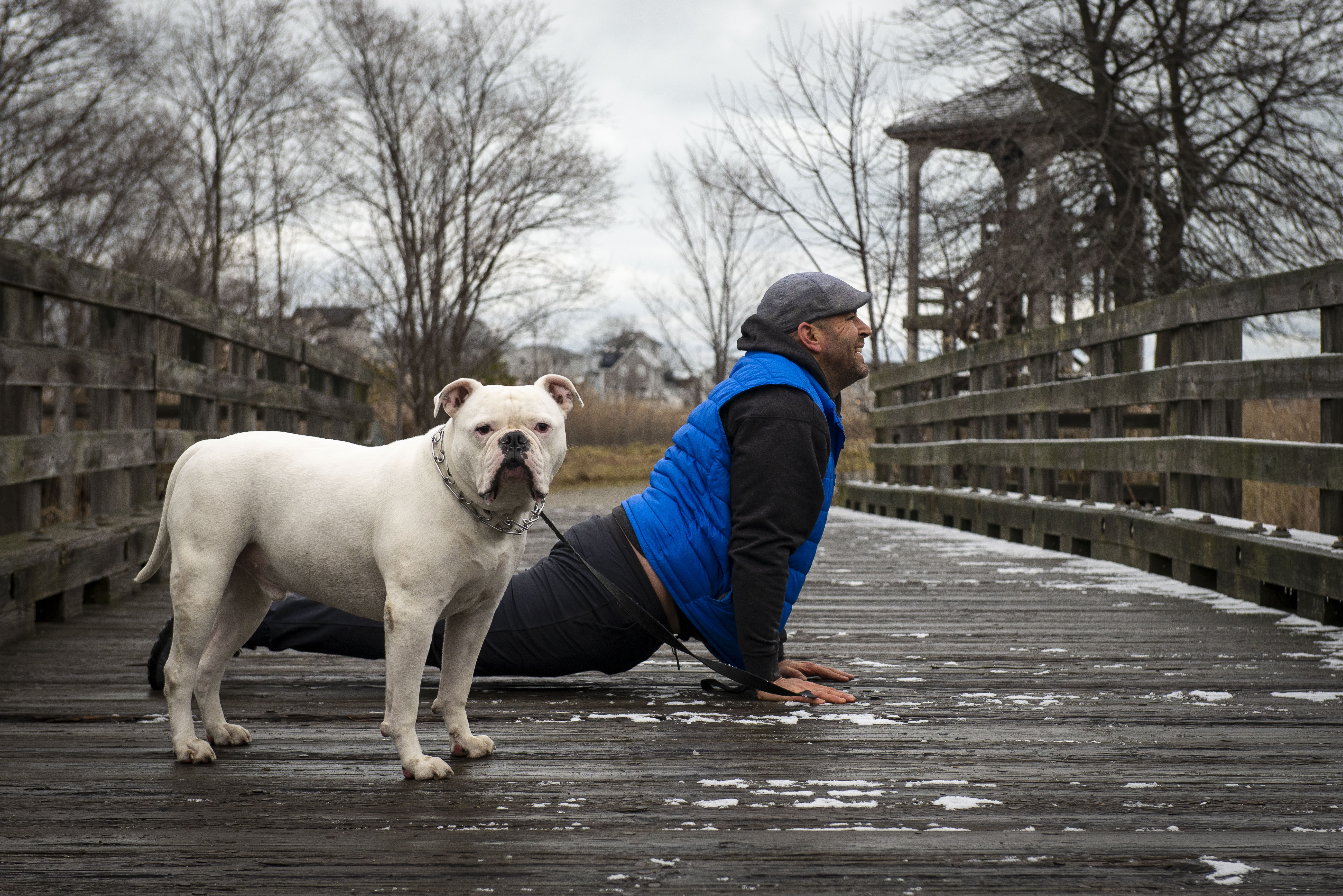 bulldogflowboston