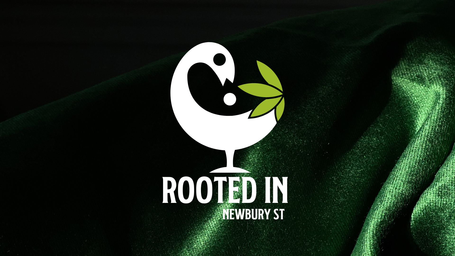 rooted.in.roxbury