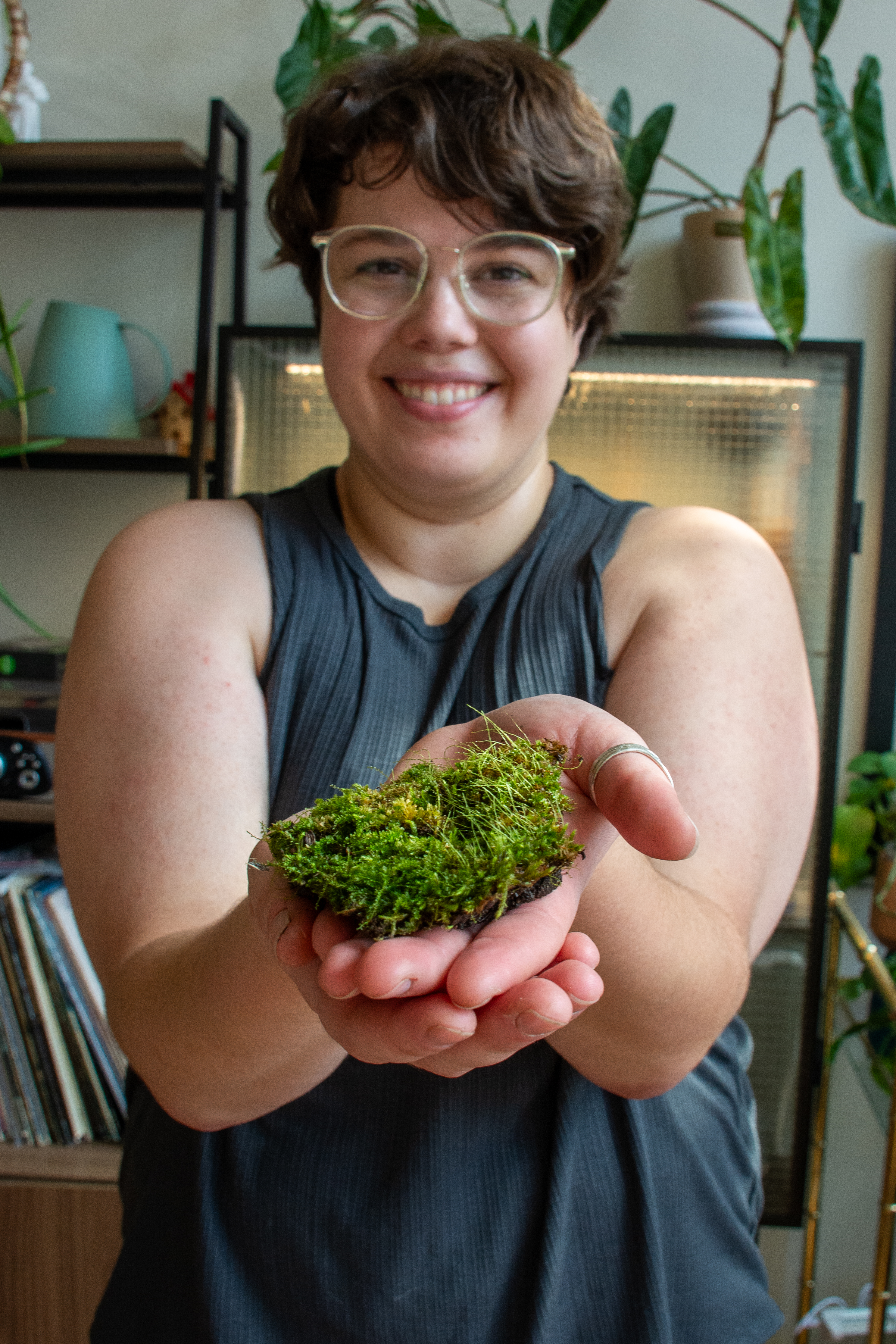maisongreenboston