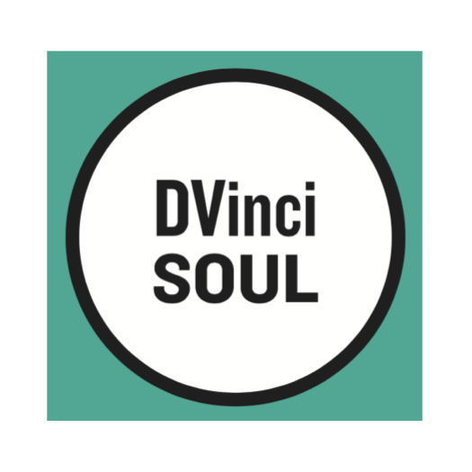 dvincisoul
