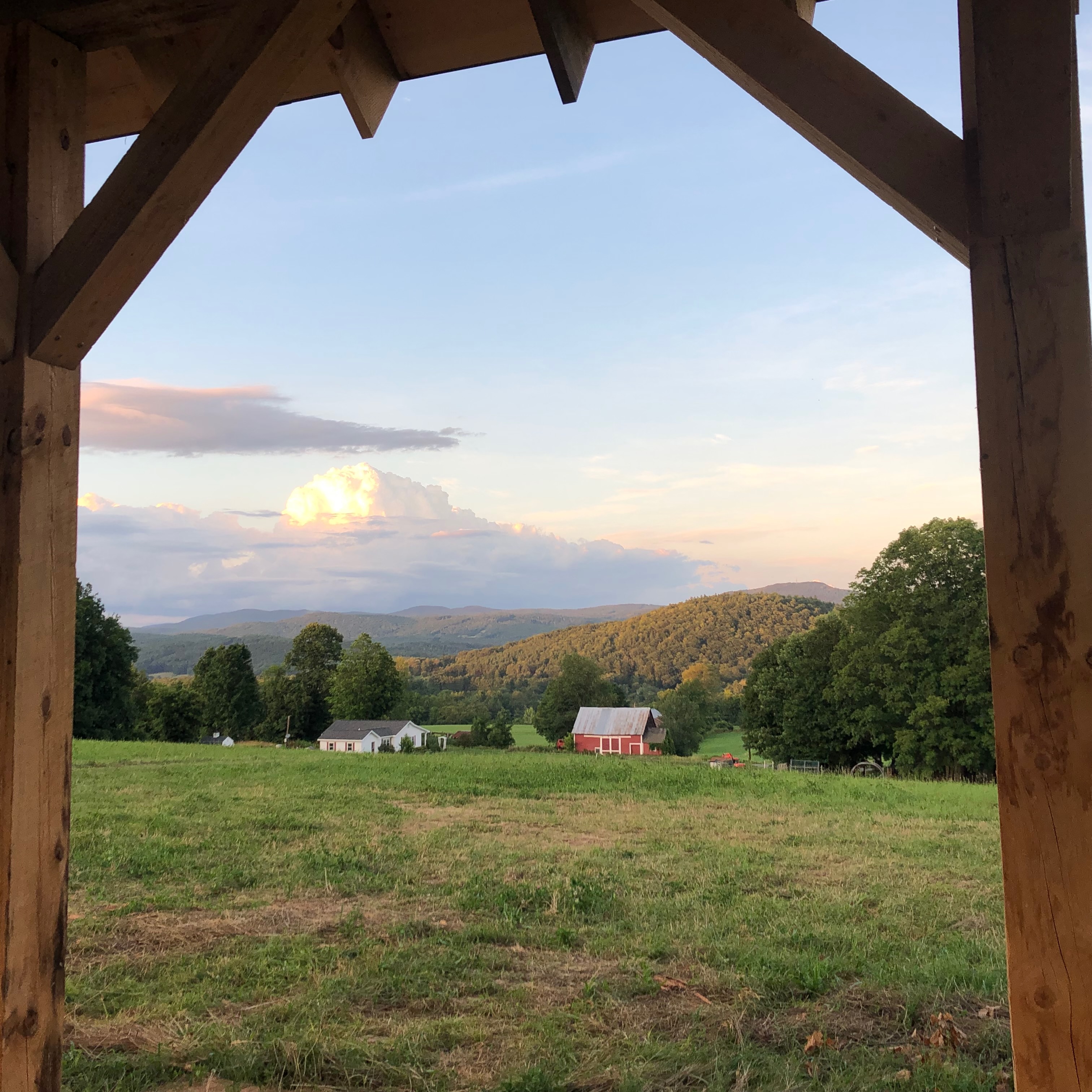 dancingbearfarm