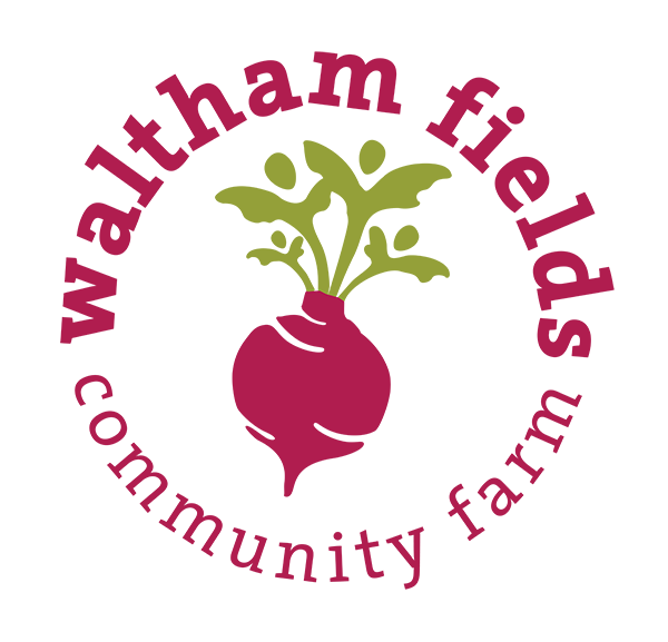 walthamfields