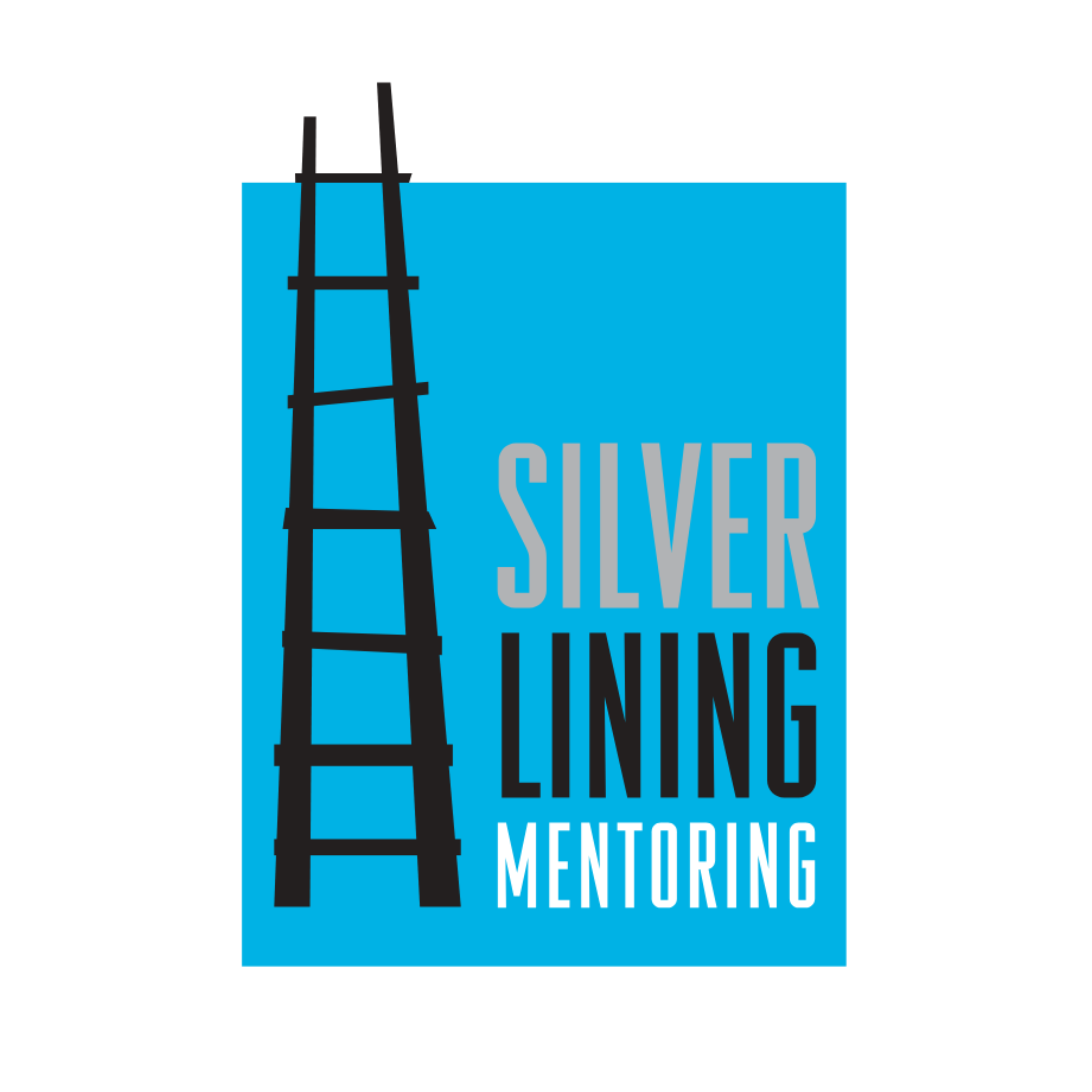 silverliningmentoring