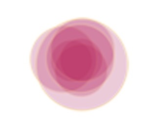 desaifoundation
