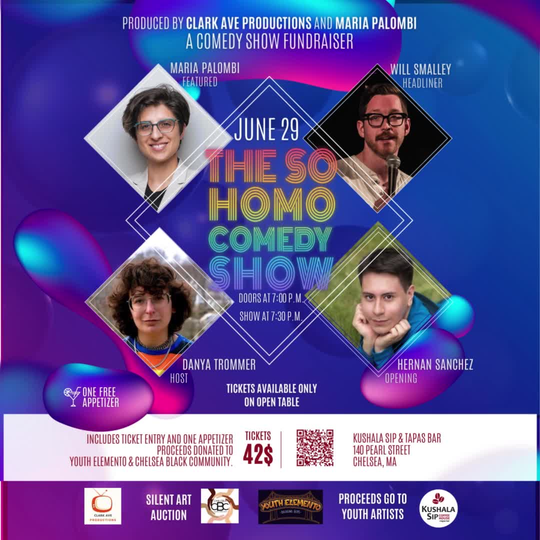 The So Homo Comedy Show Fundraiser thumbnail