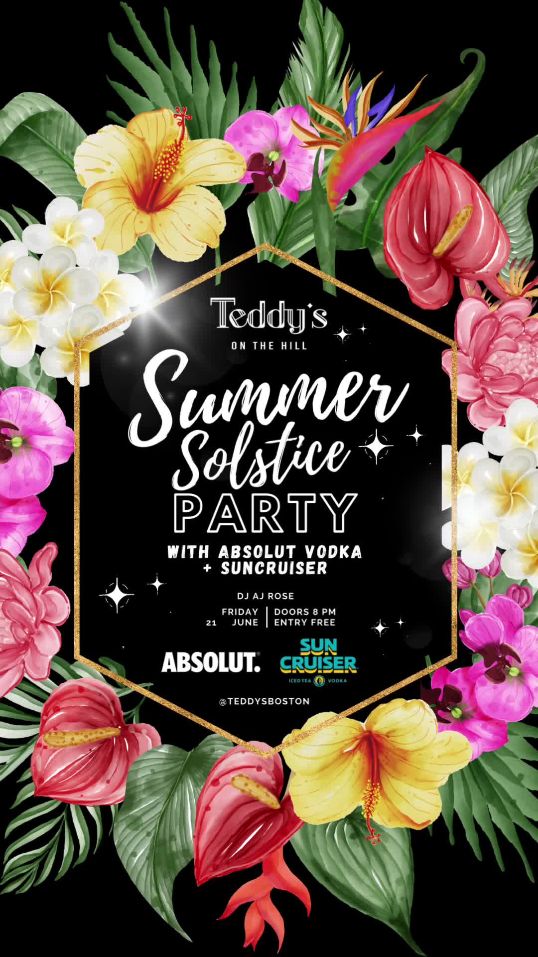 Summer Solstice Pride Party thumbnail