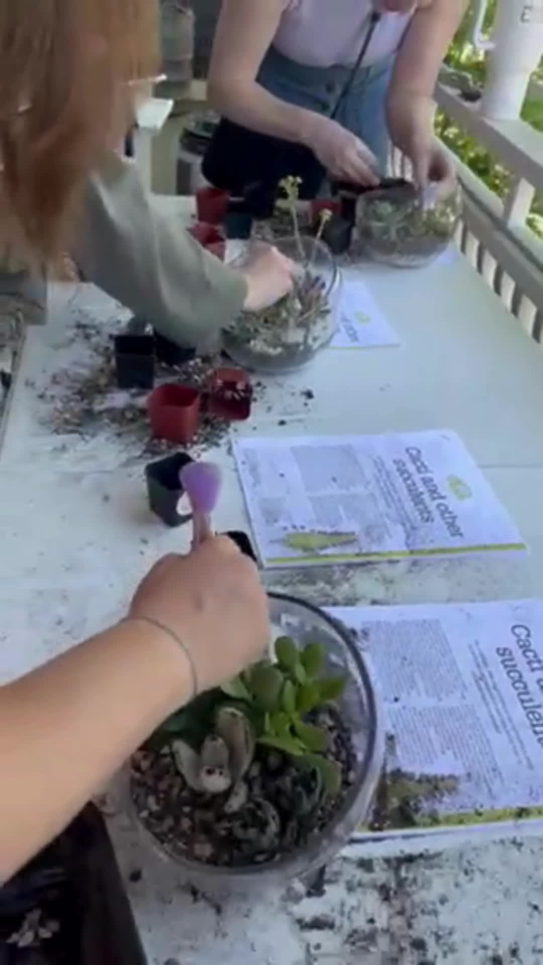 Succulent Terrarium Workshop Somerville by Hoamsy thumbnail
