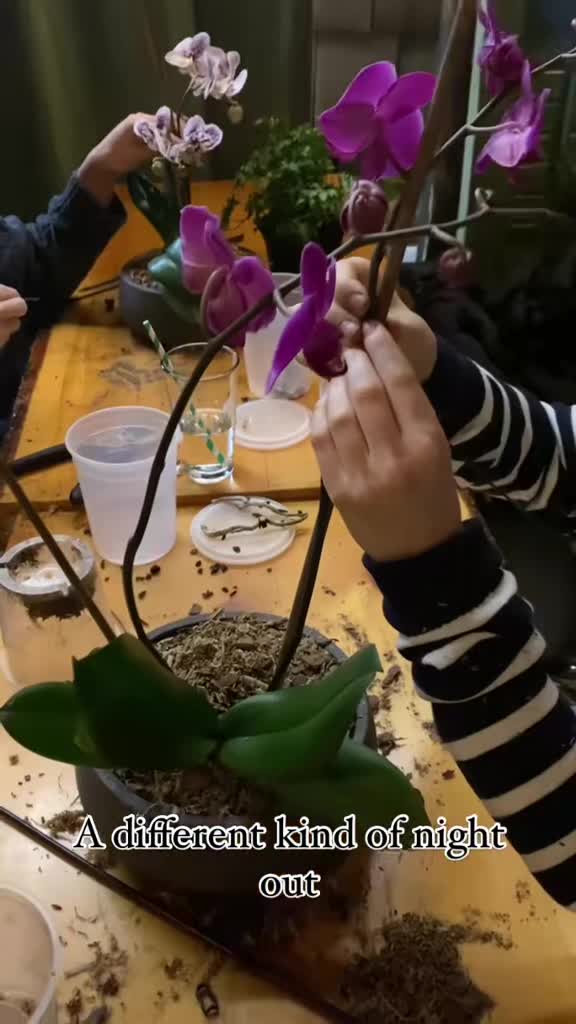 Flower Arranging Workshop at Short Path Distillery thumbnail