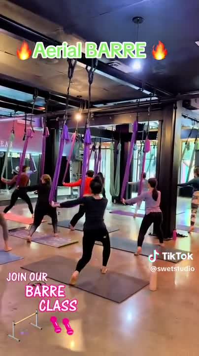 Aerial Barre: Dance in the Hammock thumbnail