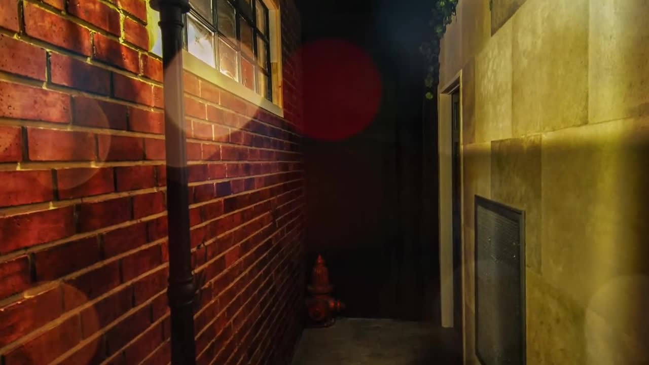 Red Fox Escapes: Rise to the Challenge! [05/24/22]