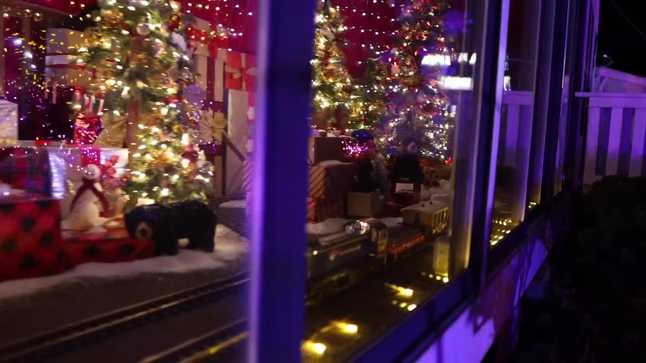 ZooLights at Stone Zoo [11/18/22]